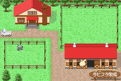 Derby Stallion Advance